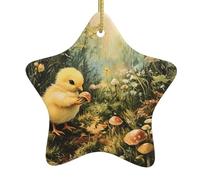Décoration de Noël en céramique en forme d'étoile WHJSSF Poulet cueillir des champignons Impression pour décorations de vacances dans les centres commerciaux, supermarchés et maisons