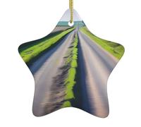 Décoration de Noël en céramique en forme d'étoile YUGTAEE Irrégulière Route de campagne imprimée Décoration d'intérieur à suspendre pour centres commerciaux maisons et points de vente au détail