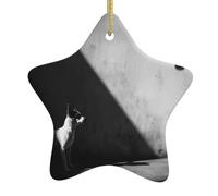 Décoration de Noël en céramique en forme d'étoile YYHHAOFA Chiot et Papillon Ombre Image Arbre de Noël Accessoires pour Centres Commerciaux Fenêtres et Bureaux