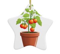 Décoration de Noël en céramique en forme d'étoile YYHWHJDE petites tomates dans un pot de fleurs pour décoration de vacances dans les centres commerciaux, supermarchés et maisons