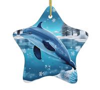 Décoration de Noël en céramique en forme d'étoile YYHWHJDE Winter The Dolphin Impression Arbre de Noël Accessoires pour centres commerciaux, fenêtres et bureaux