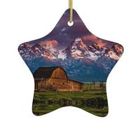 Décoration de Noël en céramique imprimée des deux côtés Motif parc national Décoration festive à suspendre avec ficelle dorée