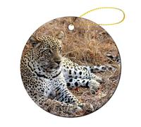 Décoration De Noël en Céramique, Léopard Faune Sauvage D'Afrique Déco Sapin Noël avec Ficelle Ornement Noel Pendentif pour Décorations pour Souvenir, Intérieur