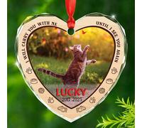 Décoration de Noël en verre « I Will Carry You with Me Until I See You Again » - Cadeau pour la perte de chat, photo et nom personnalisés - Décoration commémorative de condoléances pour animaux de