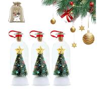 Décoration de Noël Personnalisée avec Message dans Une Bouteille, Enregistrement Vocal, Message Personnalisé, Souhait Unique, Dôme en Verre Personnalisé, Souvenir pour L'esprit(3pcs)