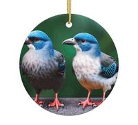 Décoration de Noël ronde en céramique à suspendre avec deux oiseaux