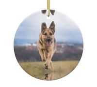 Décoration de Noël ronde en céramique avec cordon de suspension doré - Motif berger allemand - Décoration festive pour la maison, le magasin