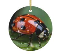 Décoration de Noël ronde en céramique Motif coccinelle Pour sapin de Noël, fêtes de fin d'année, décoration d'intérieur
