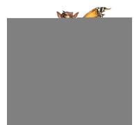 Décoration de Pot fée bohème | Pot Acrylique Artisanal Pottes Fleurs jardinière Jardin Patio Planter décoration Yard Art pour intérieur extérieur