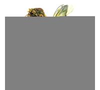 Décoration de Pot fée bohème | Pot Acrylique Artisanal Pottes Fleurs jardinière Jardin Patio Planter décoration Yard Art pour intérieur extérieur