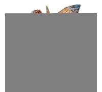 Décoration de Pot fée bohème | Pot Acrylique Artisanal Pottes Fleurs jardinière Jardin Patio Planter décoration Yard Art pour intérieur extérieur