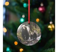 Décoration de sapin de Noël en acrylique de forme ronde avec inscription Mother Bear and Her Cubs - Disques circulaires transparents pour Noël, Nouvel An, fêtes à suspendre