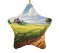 Décoration de sapin de Noël en céramique à suspendre Motif sentier rural YYHHAOFA facile à accrocher pour fête de vacances 7,9 x 7,9 cm