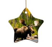 Décoration de sapin de Noël en céramique en forme de cœur avec imprimé cerf, ours, élan pour maison, bureau, vacances à suspendre