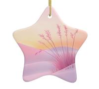 Décoration de sapin de Noël en céramique en forme d'étoile avec impression désert rose | Décorations de fête de Noël et de réunions de famille