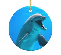 Décoration de sapin de Noël en céramique - Joli souvenir rond imprimé dauphin pour Noël, Nouvel An et décoration festive
