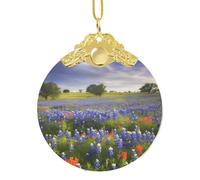 Décoration de sapin de Noël en verre à suspendre - Motif paysage du Texas Bluebonnets - Décoration de sapin de Noël pour fête, mariage, cheminée en plein air