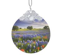 Décoration de sapin de Noël en verre à suspendre - Motif paysage du Texas Bluebonnets - Décoration de sapin de Noël pour fête, mariage, cheminée en plein air