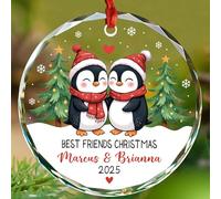 Décoration de sapin de Noël pingouin Best Friends, noms/année personnalisés, décoration de Noël en verre 2025, décoration souvenir de pingouin, cadeaux pour meilleures meilleures amies, âmes sœurs