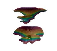 Décoration de Terrarium - 3D - Ornements réalistes - 2 pièces de Terrarium en Verre - pour Grenouilles, lézards, grillades, Serpents, araignées, Jeux de Barbe, Calme et