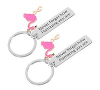 Décoration de Voiture 2 pièces Porte-clés Flamant Rose Porte-clés de Voiture Oublier jamais, Porte-clés sont des Amateurs de Flamant Rose Suspendu Sacs en Alliage de Zinc, Rosé,