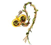 Décoration d'Enclos d'Araignée Sauteuse, Accessoires Magnétiques pour Terrarium Reptile, Ornement de Grotte pour Araignée Sauteuse, pour Jeu Escalade Fourragement Repos Terrarium Aquarium Enclos pour