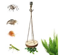 Décoration d'escalade d'araignée sautante, balançoire pour activités d'escalade, accessoires pour aquarium, animal domestique, serpent, tortue, reptile, habitat de reptile