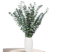 Décoration d'eucalyptus - 22 pièces d'eucalyptus séché, Eucalyptus séché pour la décoration, Mariages, Arrangements Floraux séchés, Accessoires de Maison, Vert (43 cm et Plus)