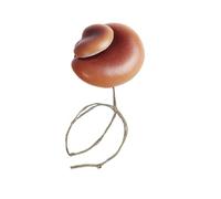 Décoration d'habitat d'araignée sautante, ensemble de décorations pour enclos de champignons, accessoire de terrarium de 6,5 x 5,9 cm, pièce d'habitat en résine, réservoir bio avec design