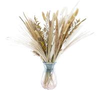 Décoration d'herbe de la pampa d'automne séchée, facile à entretenir, couleur harmonieuse, fleurs naturelles, pour chambre à coucher, mariage, maison, table de salle à manger