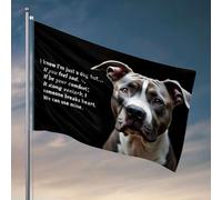 Décoration d'intérieur pour hommes « I'M Here To Comfort You » Drapeaux amusants pour décoration d'intérieur pour adolescents (120 x 180 cm)