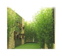 Décoration DIY En Bambou Artificiel Avec Troncs, Tiges Et Feuilles De Bambou Paravent De Séparation Pour Mur D'entrée Pour Clôture De Jardin, Brise-vue Décoratif Pour Entrée De Cour(120cm/47.2in -20 X