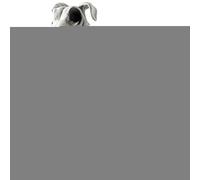 Décoration du Squelette De Chien - Statue De Chiens Squelettes D' Réaliste | Décoration pour Maisons Hantées, Fêtes Et Affichages De Jardin | Ornement d'animal D'os Effrayant pour Un Décor in