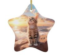 Décoration en céramique à suspendre pour sapin de Noël WHJSHOP Chat à la recherche du ciel Impression facile à accrocher sur les arbres, les portes et les fenêtres