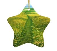 Décoration en céramique à suspendre pour sapin de Noël WHJSHOP Prairie Chemins peut ajouter une touche romantique aux festivals ou fêtes