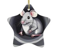 Décoration en céramique à suspendre pour sapin de Noël YYHHAOFA Mouse dans le trou facile à accrocher sur les arbres, les portes et les fenêtres