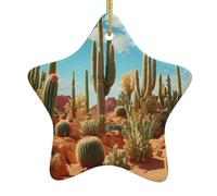 Décoration en céramique à suspendre pour sapin de Noël YYHWHJDE Le Territoire du Cactus Imprimer Facile à accrocher sur les arbres, les portes et les fenêtres
