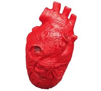 Décoration en forme de cœur humain pour Halloween, modèle effrayant, accessoire de maison hantée, accessoires de cœur d'Halloween