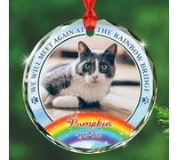 Décoration en verre avec photo personnalisée en forme de chat pour commémoration, « We Will Meet Again at The Rainbow Bridge » - Photo personnalisée et nom de l'année - Ornements de condoléances pour