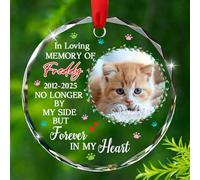 Décoration en verre souvenir avec inscription « No Longer by My Side But Forever in My Heart » - Cadeau pour propriétaire de chat, papa, maman, mari, épouse, chat dans le paradis