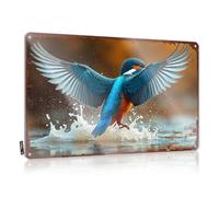 Décoration extérieure amusante Kingfisher In Flight : A Splash Of Nature'S Beauty - Panneau sarcastique amusant pour maison (20 x 30 cm)