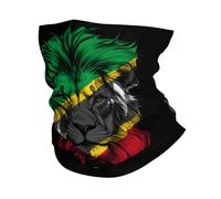 Décoration Faciale Drapeau Drôle De Saint-Kitts avec Un Lion Echarpe Tête Pirate Séchage Rapide Bande De Cheveux pour Randonnée, Moto, Yoga
