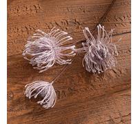 Décoration florale Leucospermum nécessitant peu d'entretien pour les maisons modernes avec des détails réalistes conçus pour ressembler à des fleurs fraîches dans n'importe quel vase ou présentoir