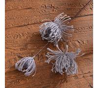 Décoration florale Leucospermum nécessitant peu d'entretien pour les maisons modernes avec des détails réalistes conçus pour ressembler à des fleurs fraîches dans n'importe quel vase ou présentoir