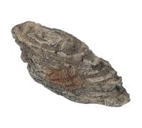 Décoration Fossile D’insecte en Résine Marron pour Terrarium Éducatif | Rendu Réaliste, Thème Préhistorique, Affichage Stable sur Bureau, pour e Sciences et Étude