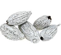 Décoration Fruits exotiques du cacaoyer Lavés à blanc, produit naturel pour cafés et chocolateries, 15 pièces