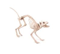 Smiffys Accessoire squelette de chat, Naturel, 60cmx12cmx25cm / 24inx5inx10in Halloween, Carnaval