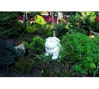 Décoration Jardin Chien Terrasse Pierre Figures Déco Statue Sculpture 486 Nouveau