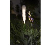 Décoration lumineuse - GALIX - G4515 - Energie solaire : Plumeau