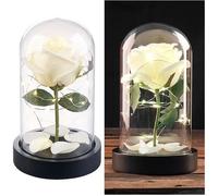 Décoration - Lunartec - Rose artificielle sous cloche en verre - Guirlande LED 25 - Blanc chaud - Effet réaliste
